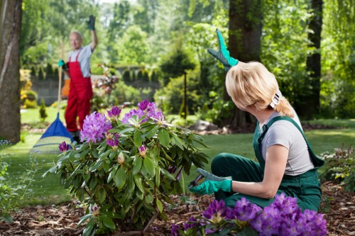 Gardener preparing a transparent quote for a Kingston Vale garden