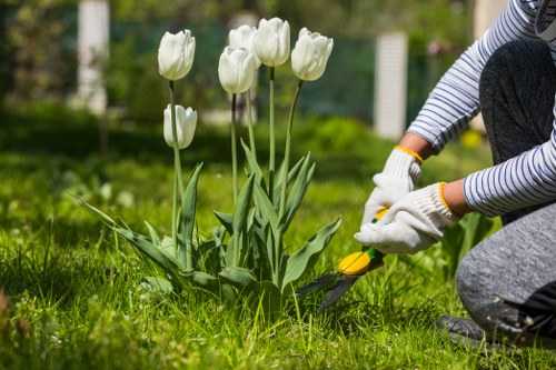 Gardening service terms introduction with image one