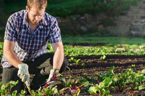 Free quote discussion for Kingston Vale garden maintenance