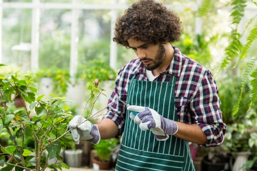 Professional garden maintenance in Kingston Vale showing hedge trimming and planting care