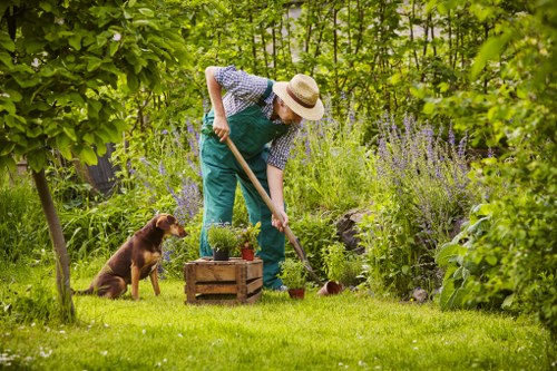 Graphic showing keyboard navigation support for local gardeners