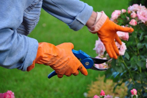 Patio cleaning tools and rinsed paving in a garden