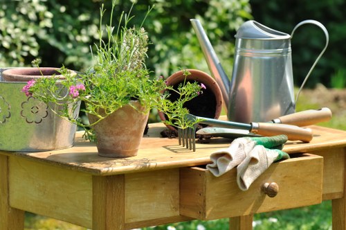 Gardeners Kingston Vale introducing a well-kept outdoor space