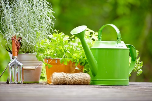 Professional garden clearance for a Kingston Vale property