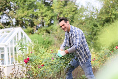Professional lawn mowing service for Kingston Vale gardens