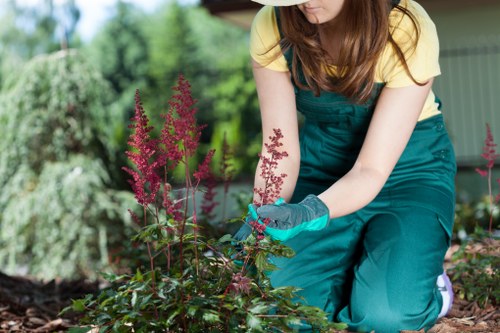 Kingston Vale garden landscaping featuring planting, paving, and lawn areas