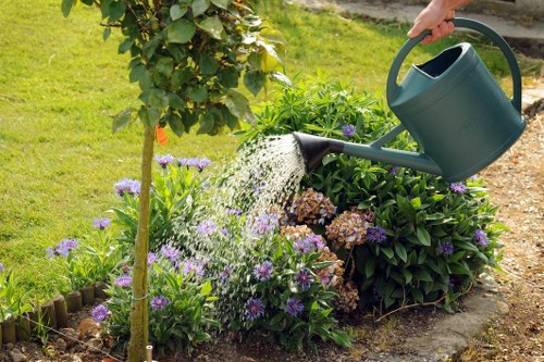Seasonal lawn treatment for Kingston Vale gardens