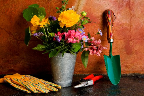 Accessibility-focused gardening service presentation in Kingston Vale
