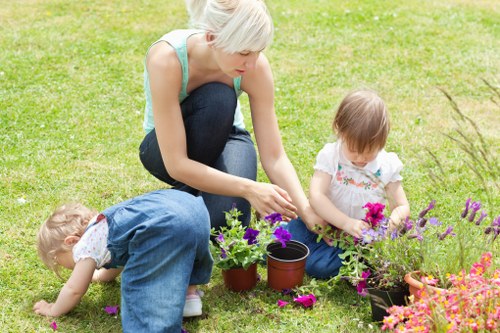 Seasonal lawn mowing and maintenance in Kingston Vale