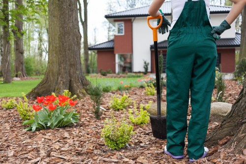 Professional lawn maintenance in Kingston Vale