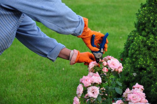 Low-carbon van used for sustainable gardening waste collection