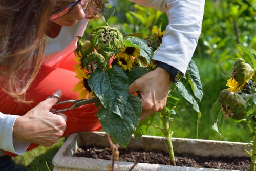 Final overview of Kingston Vale garden services and outdoor care